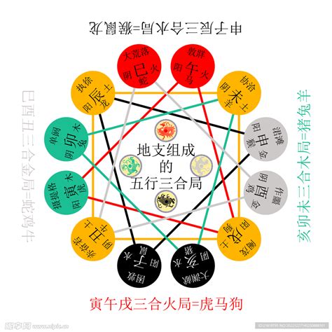 天干地支的五行|十二地支藏干 十二地支五行属性对照表